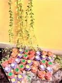 Colour Pop Decorative Diyas 4