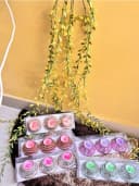 Festive Rose Candle Gift Collection 1