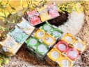Shubh Labh Decorative Gift Set 2