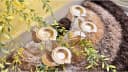 Gold-Tone Leaf Diya Pair 1